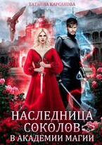 Наследница Соколов в Академии магии