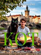 Кот