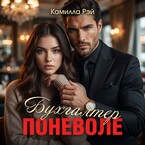 Бухгалтер поневоле
