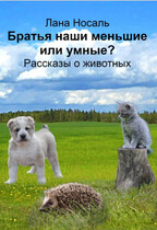 Братья наши меньшие или умные?