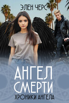 Хроники Ангела: Ангел смерти (книга первая)