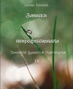 Записки непрофессионала. Помнится. Думается. Чувствуется.
