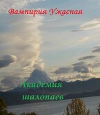Академия шалопаев