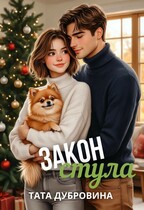 Закон стула